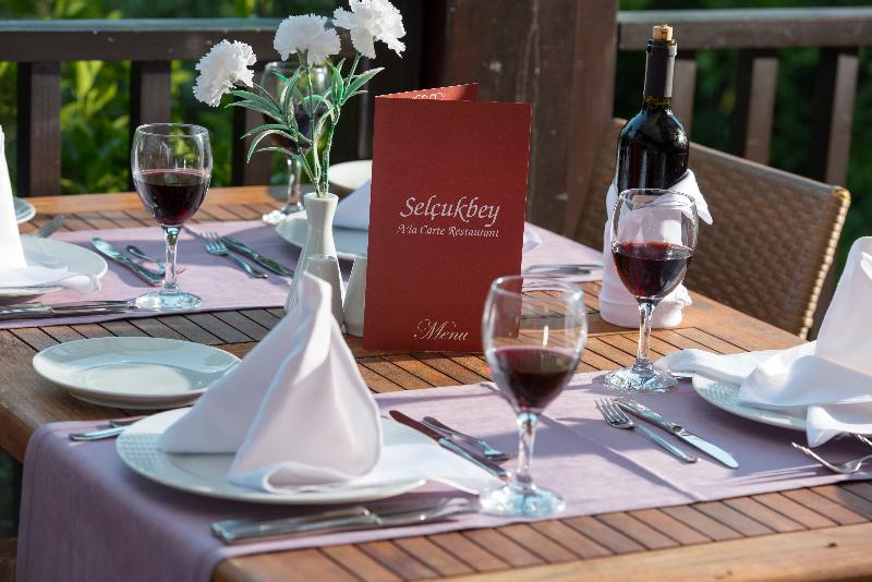 בית מלון כפרי Selcukhan