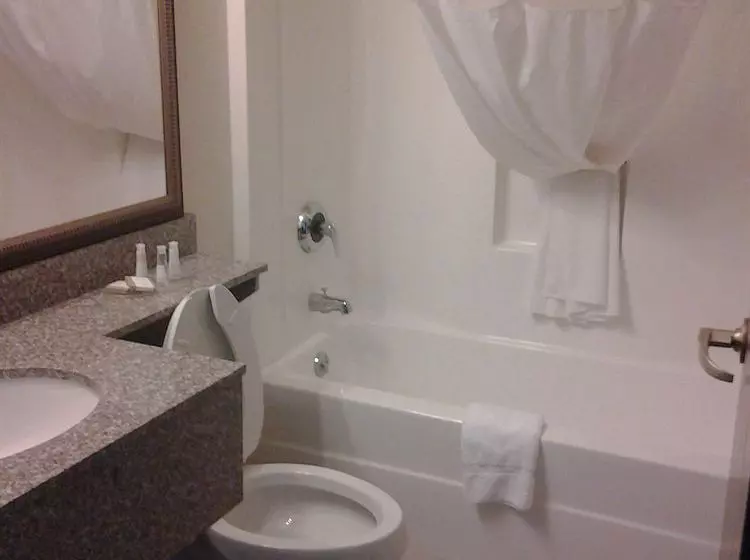 فندق Toledo Bridgepointe Inn & Suites By Hollywood Casino, Downtown, Owens College