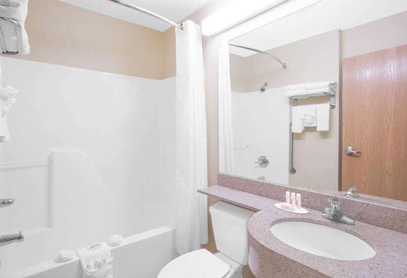 Microtel Inn & Suites By Wyndham Albertville