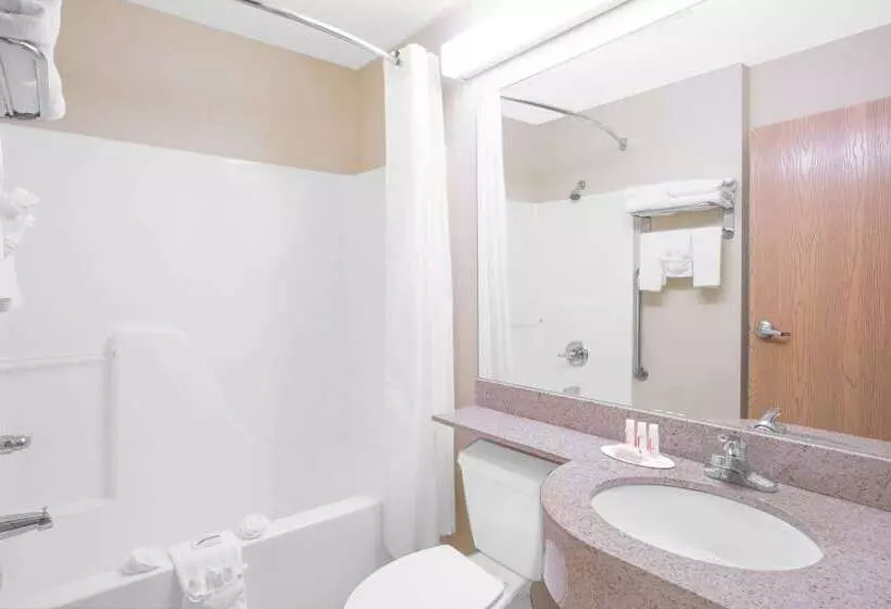 Microtel Inn & Suites By Wyndham Albertville