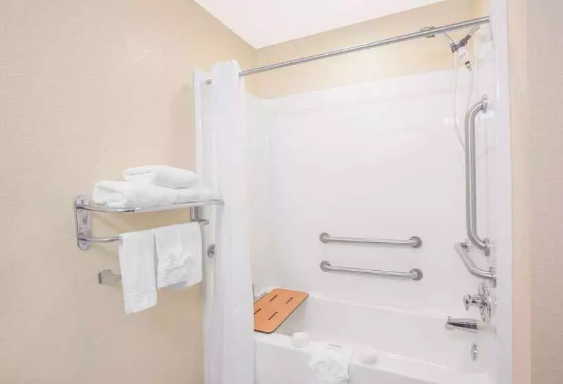 Microtel Inn & Suites By Wyndham Albertville