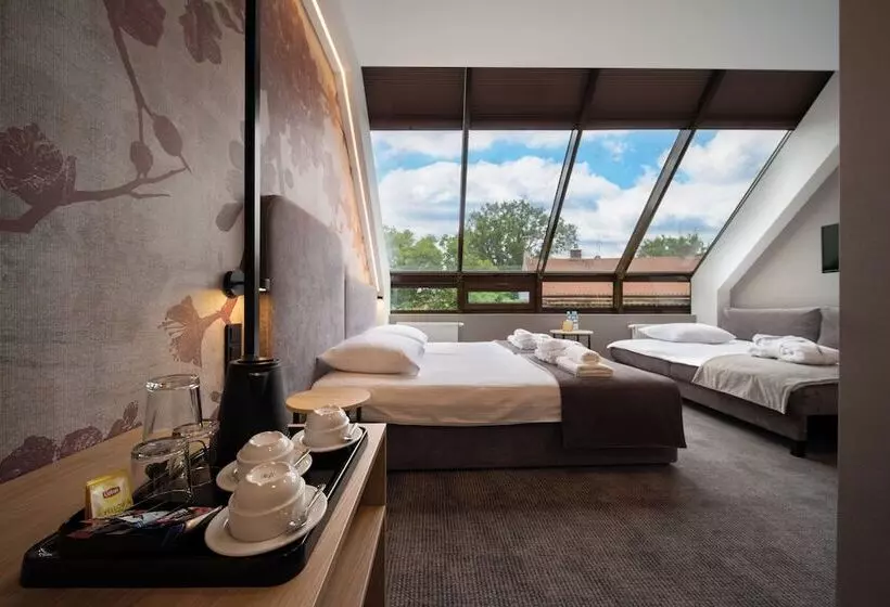 בית מלון כפרי Alexander