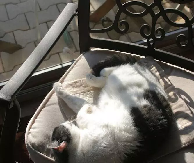 酒店 Logis Auberge De Tavel