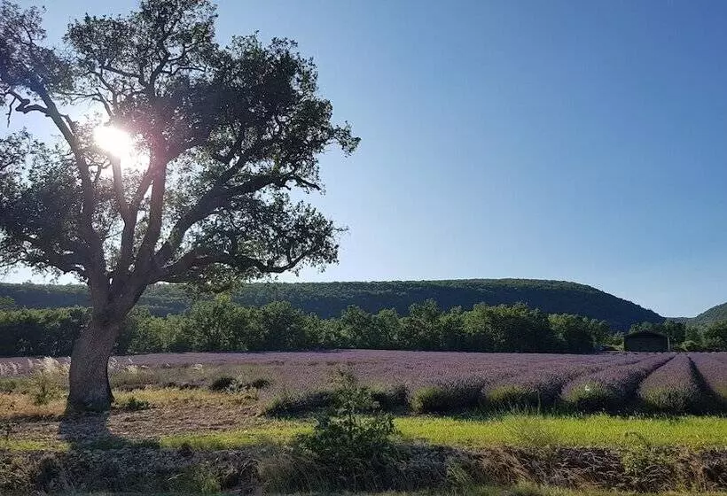 酒店 Logis Auberge De Tavel