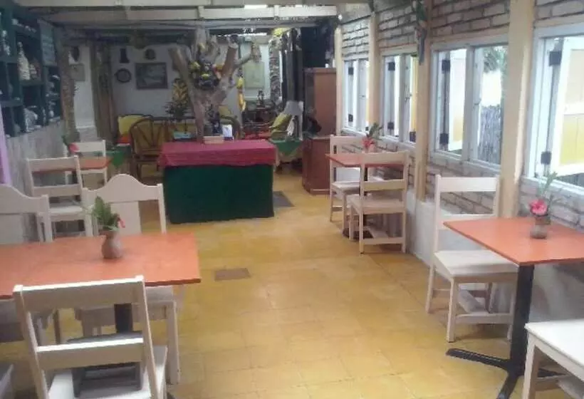 هتل Caribbean Coral Inn Tela