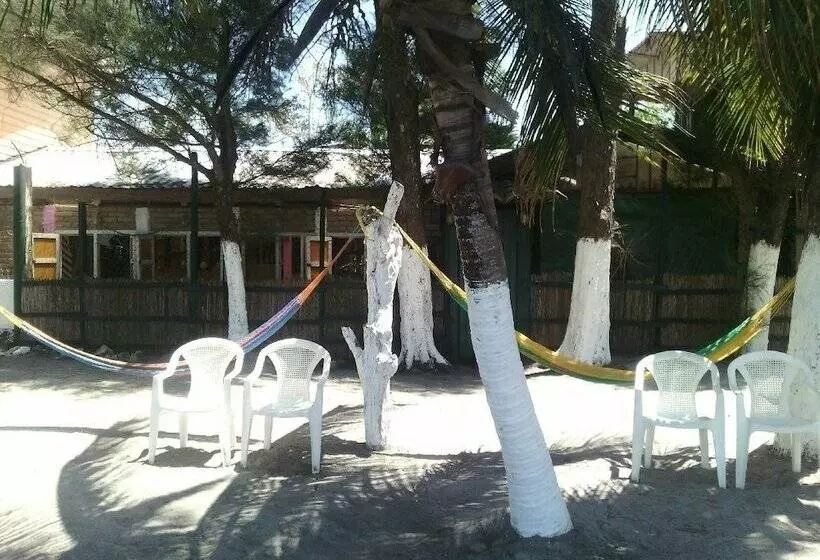 هتل Caribbean Coral Inn Tela