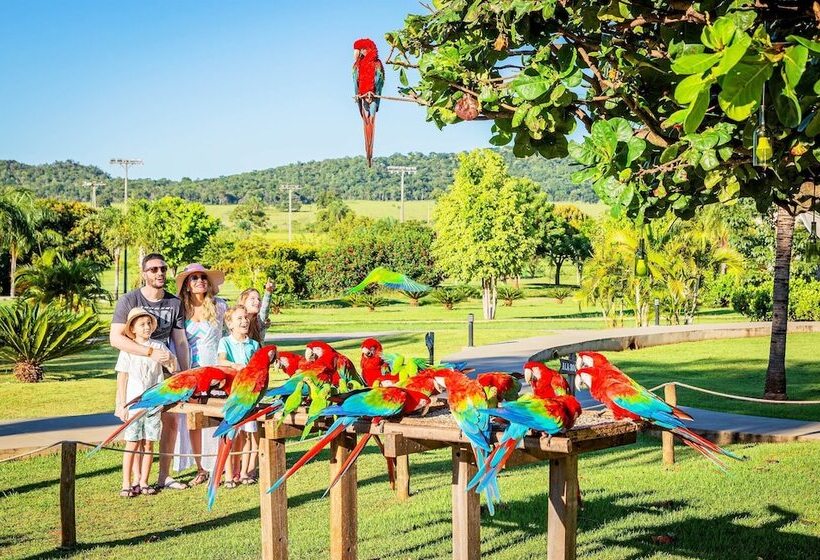 فندق Zagaia Eco Resort