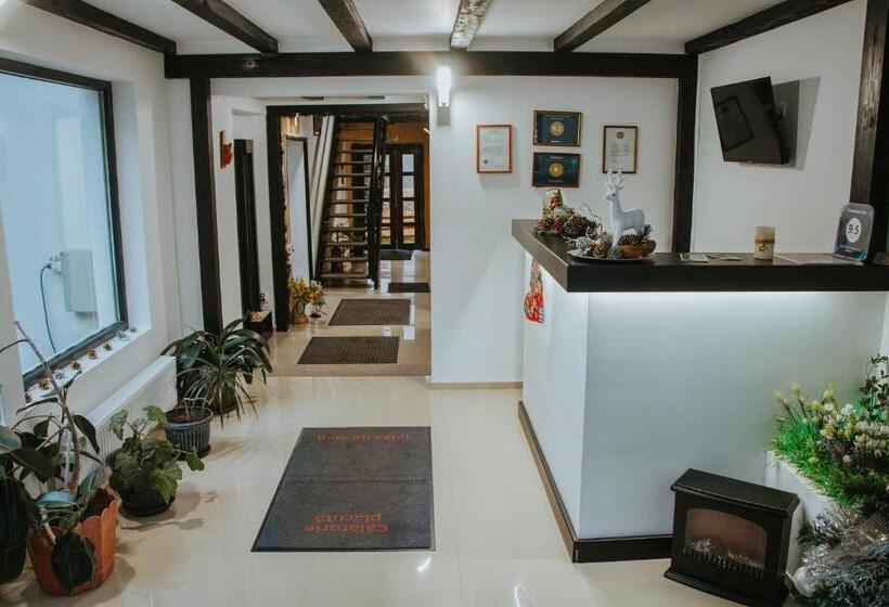 Hotel Domeniul Cris Vatra Dornei