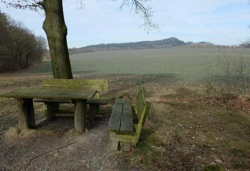 Pension Reiche