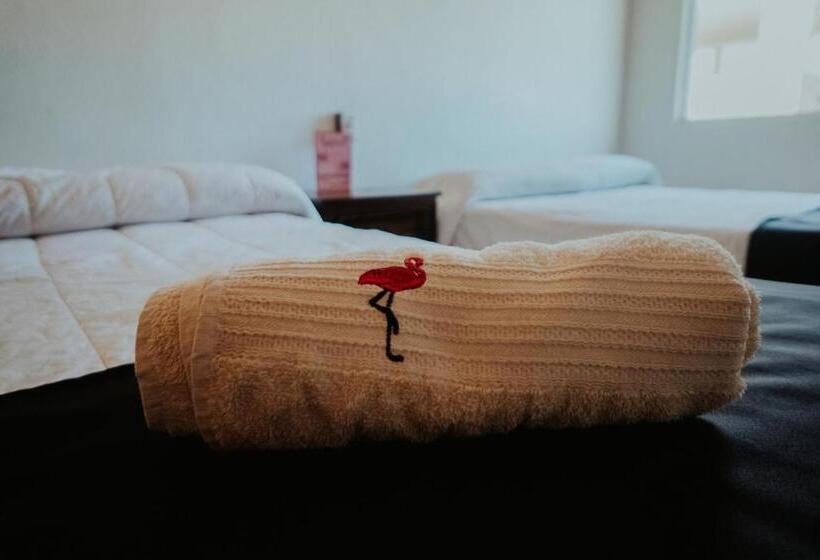 בית מלון כפרי Bungalows Flamingos