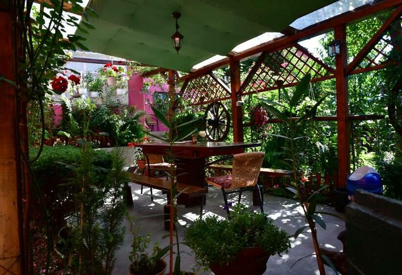 Pensiunea Cristina Si Pavel