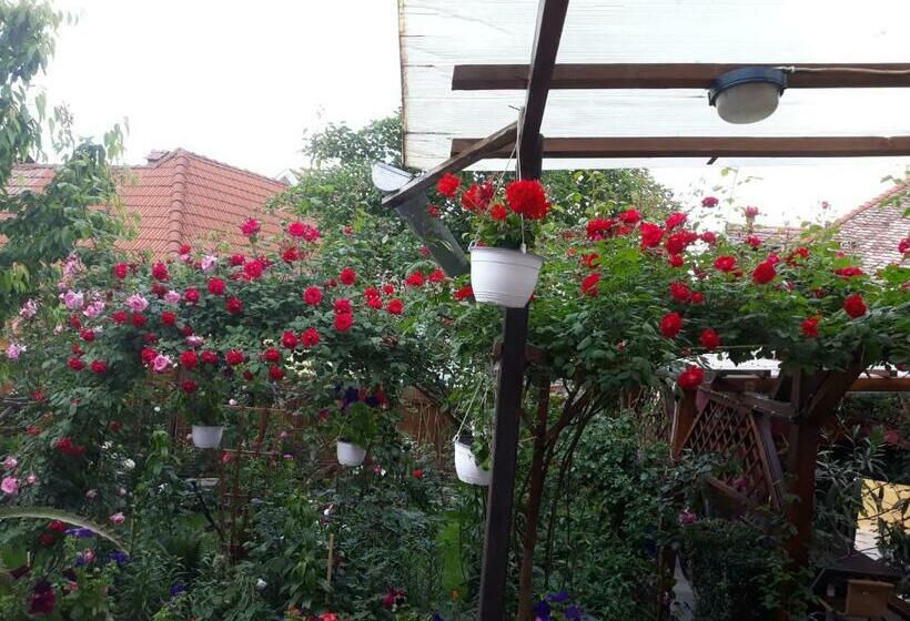 Pensiunea Cristina Si Pavel