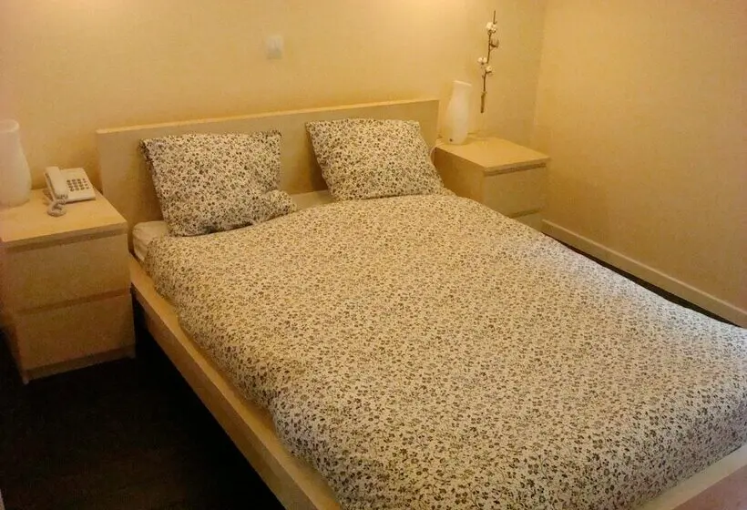 Hostal Goyal Pizarro