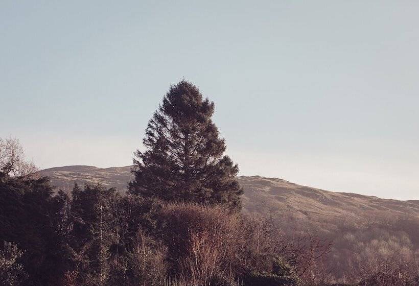 فندق Ambleside Townhouse