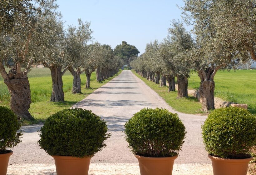 酒店 Can Simoneta  Adults Only