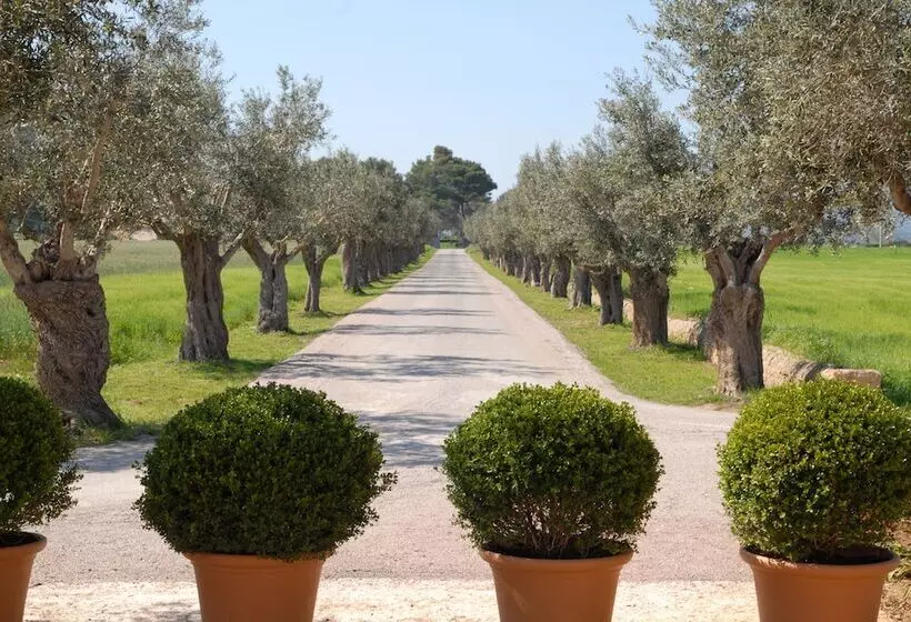 호텔 Can Simoneta  Adults Only