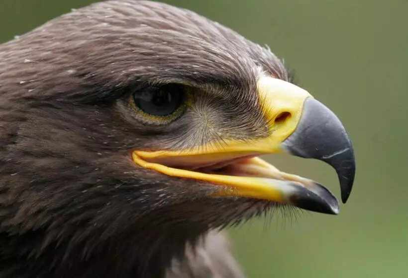 בית מלון כפרי Kilcamb Lodge