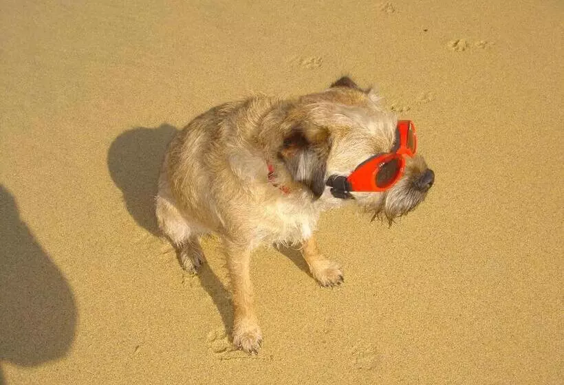 בית מלון כפרי Kilcamb Lodge