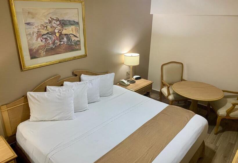 酒店 Madero Express