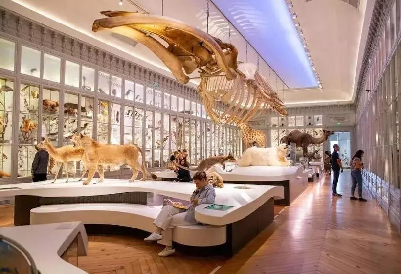 酒店 Maison Du Lierre Bordeaux Centre Ville