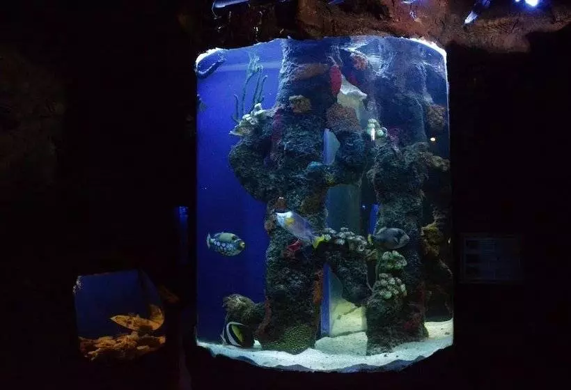 酒店 Palacio Azteca