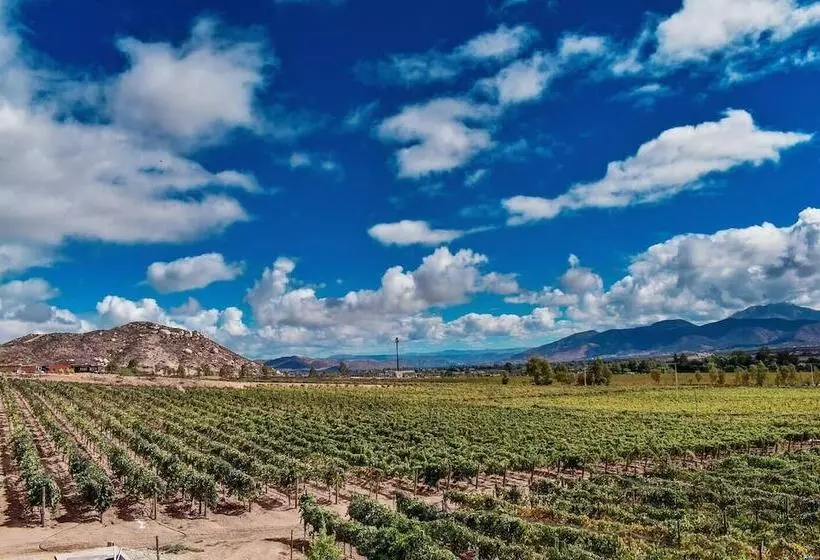 酒店 Palacio Azteca