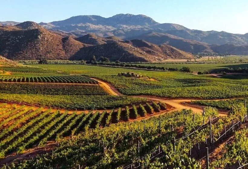 酒店 Palacio Azteca