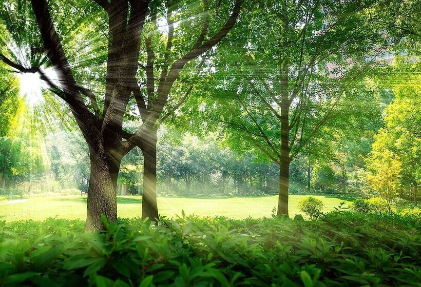 Hotel Pullman Shanghai Central