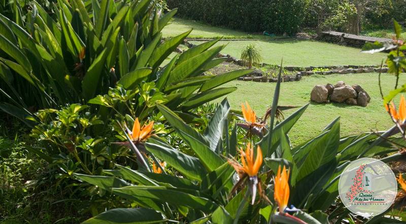 فندق Apartamentos Quinta Mae Dos Homens