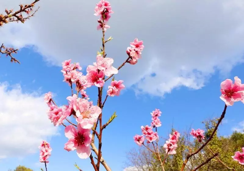 Szálloda Apartmani Gabric