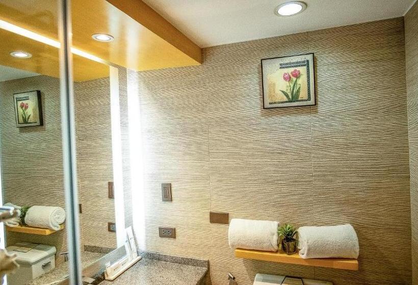 בית מלון כפרי Cebu Parklane International