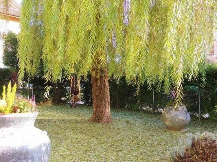 Hotelli Des Horlogers