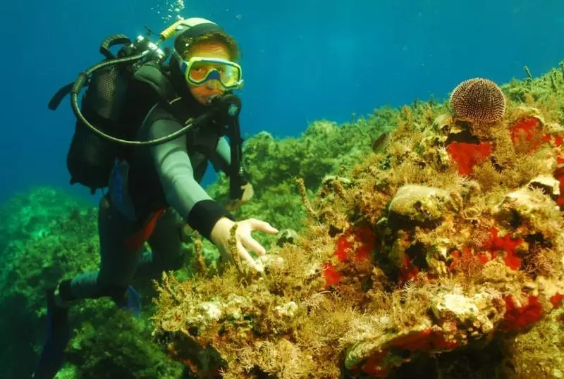 Отель Kalypso Cretan Village Resort & Spa