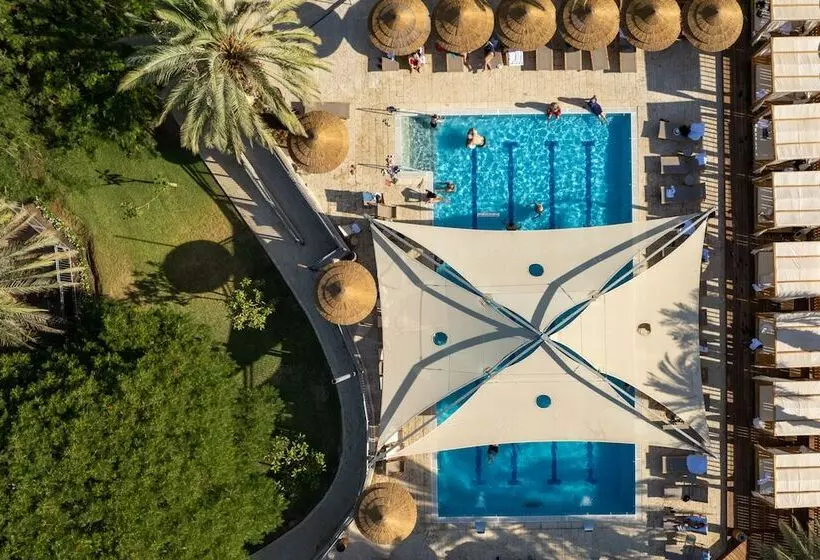 Oasis Spa Club Dead Sea Hotel   18 Plus