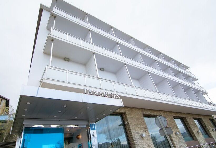 Hotel Petit Palace Tamarises