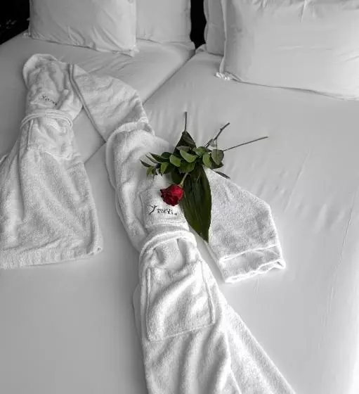 فندق Silken Gran Teatro