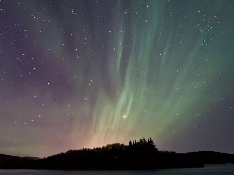 هتل Bifrost