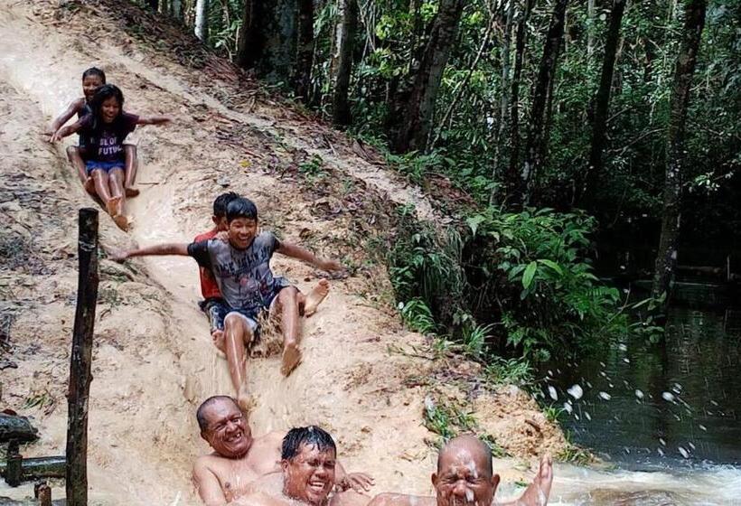 تختخواب و صبحانه Bungalow In The Jungle  Ecolodge Huitoto