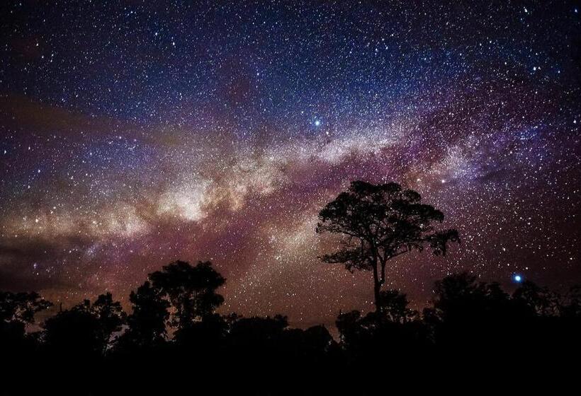 تختخواب و صبحانه Bungalow In The Jungle  Ecolodge Huitoto