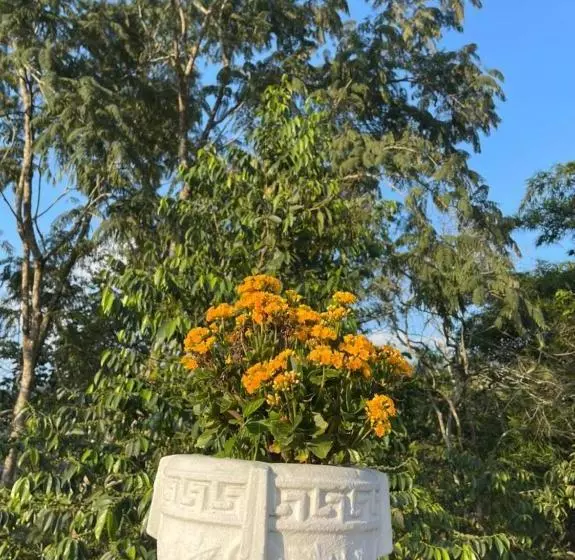 リゾートホテル Finca Campestre Los Arrieros