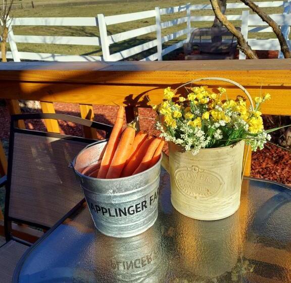 Pansiyon Applinger Farm