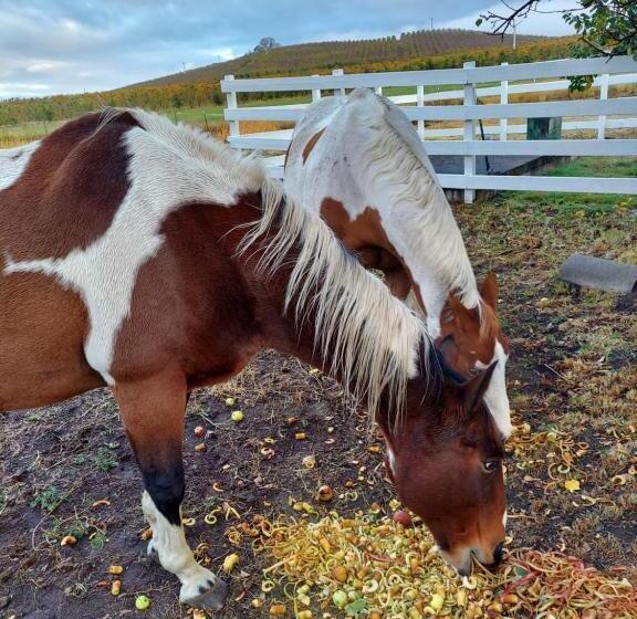 Pansiyon Applinger Farm