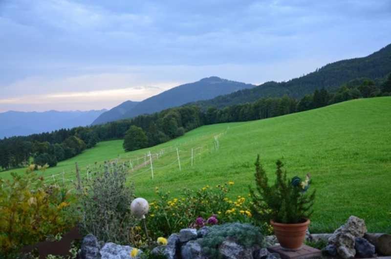 Отель Hof Rossruck