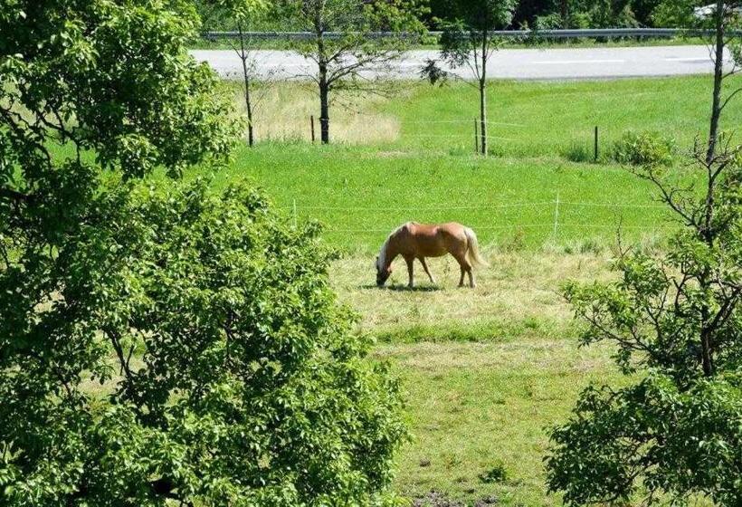 Отель Hof Rossruck