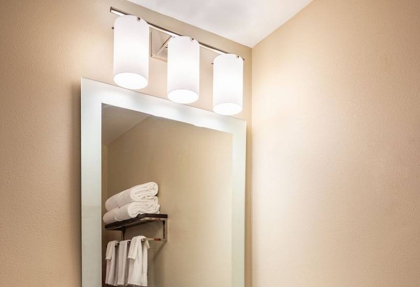 호텔 Towneplace Suites By Marriott Fort Mill At Carowinds Blvd