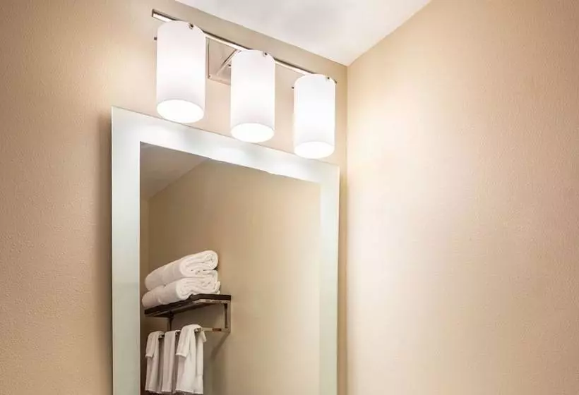 Hotelli Towneplace Suites By Marriott Fort Mill At Carowinds Blvd