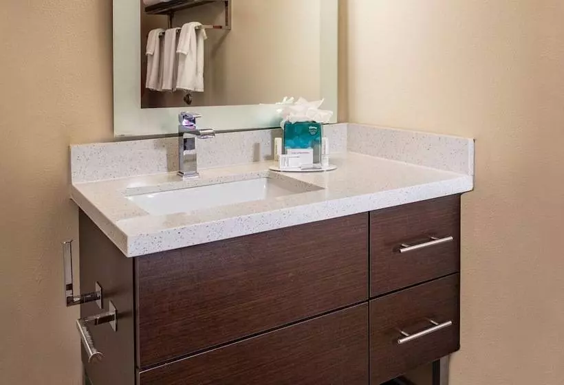 Hotelli Towneplace Suites By Marriott Fort Mill At Carowinds Blvd