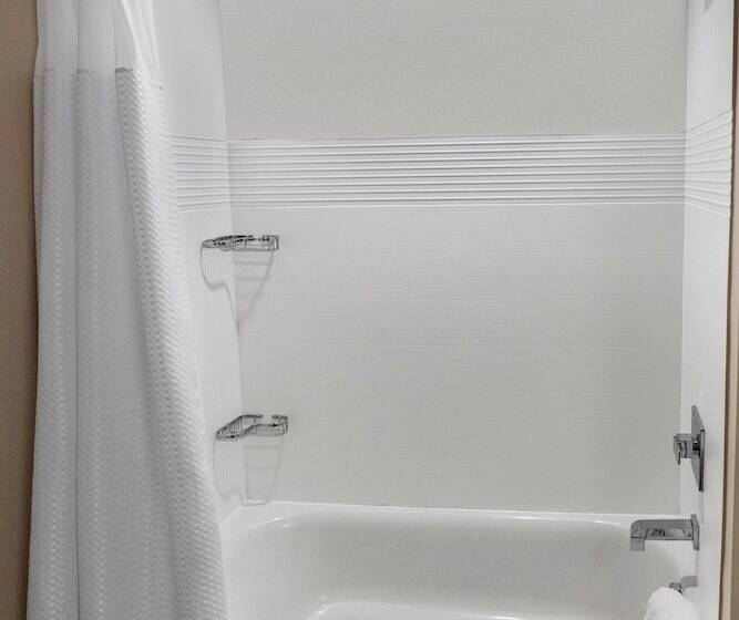 호텔 Towneplace Suites By Marriott Fort Mill At Carowinds Blvd