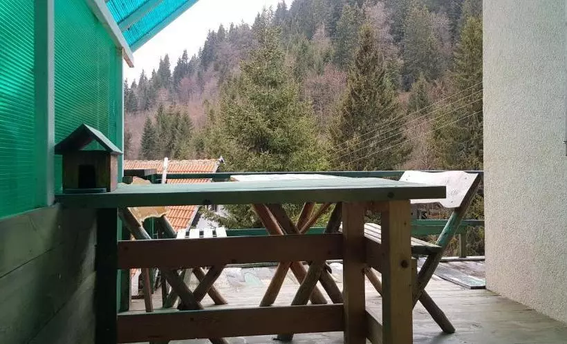 پانسیون Vikendica Jela Kopaonik