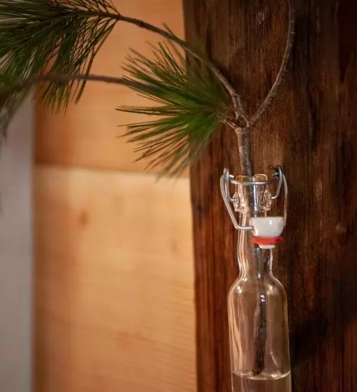 Retkeilymaja Room's Chez Beni